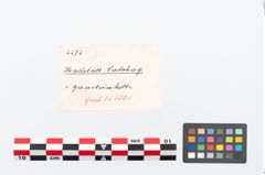 Etikett zu Perlenkette (NHMW-PRAE-002272)